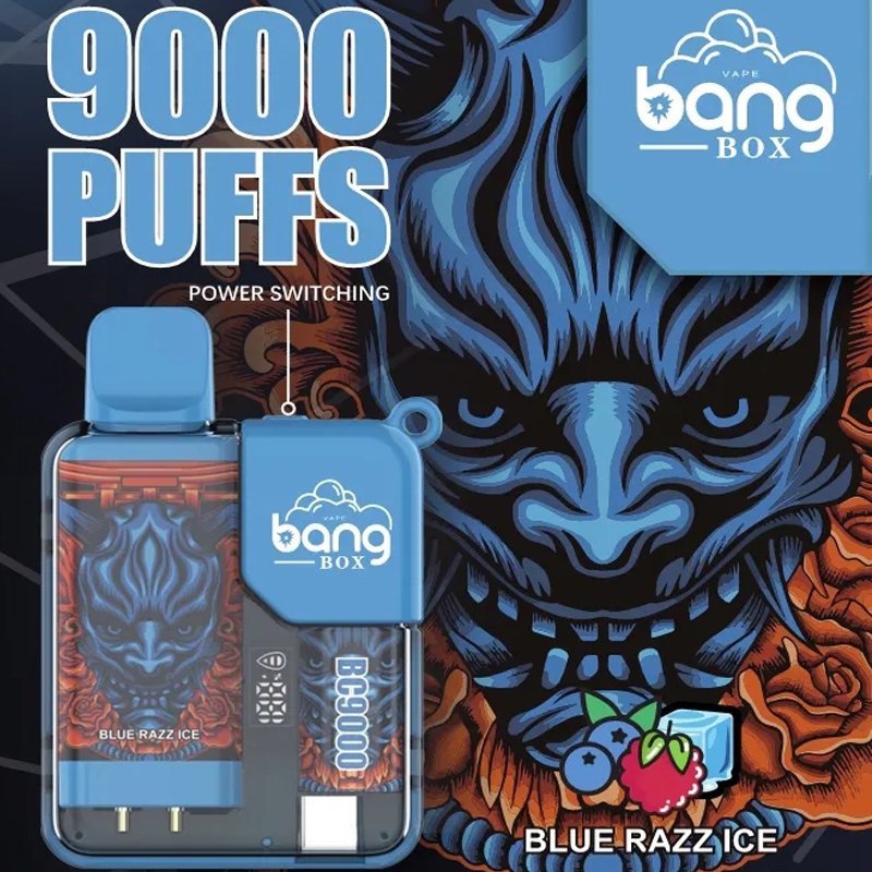 Bang Box 9000 9k Puffs Disposable Vape 0% 2% 3% 5% Nicotine 10 Tastes Rechargeable LED Pover Display Factory Direct