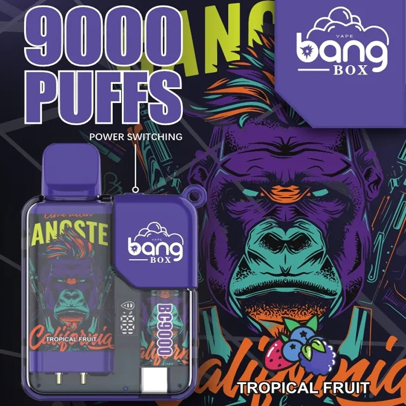 Bang Box 9000 9k Puffs Disposable Vape 0% 2% 3% 5% Nicotine 10 Tastes Rechargeable LED Pover Display Factory Direct