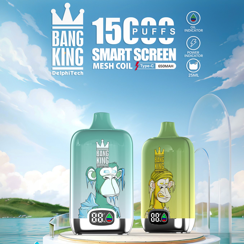 Bang King Smart Screen 15000 Puffs Disposable Vape 0% 2% 3% 5% Nicotine 12 Tastes Rechargeable Factory Direct