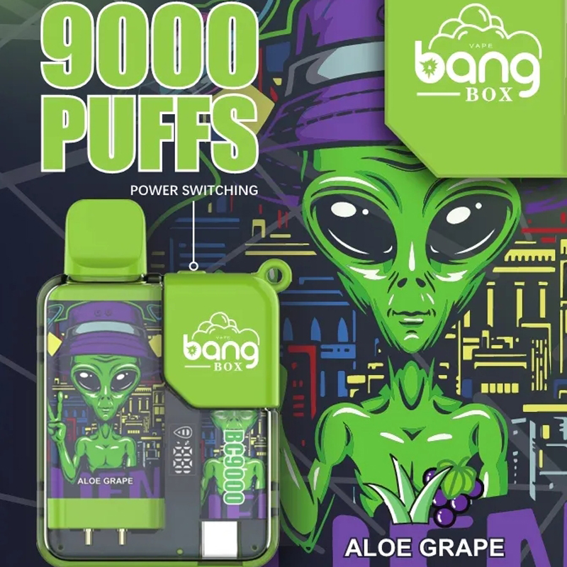 Bang Box 9000 9k Puffs Disposable Vape 0% 2% 3% 5% Nicotine 10 Tastes Rechargeable LED Pover Display Factory Direct