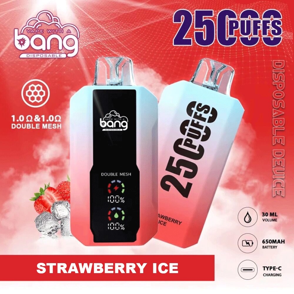 Bang 25000 25k Puffs Disposable Vape 0% 2% 3% 5% Nicotine 12Tastes LED Display Rechargeable Factory Direct