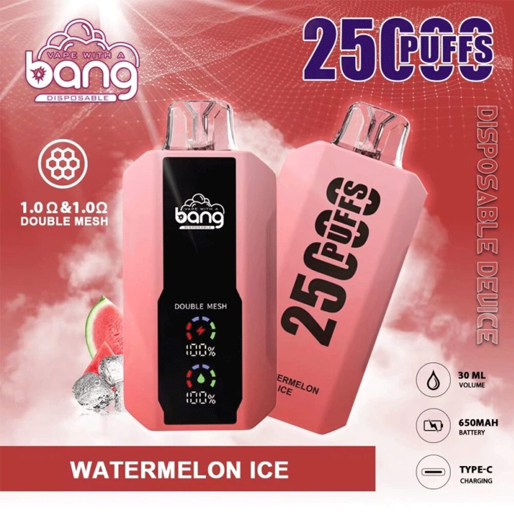 Bang 25000 25k Puffs Disposable Vape 0% 2% 3% 5% Nicotine 12Tastes LED Display Rechargeable Factory Direct