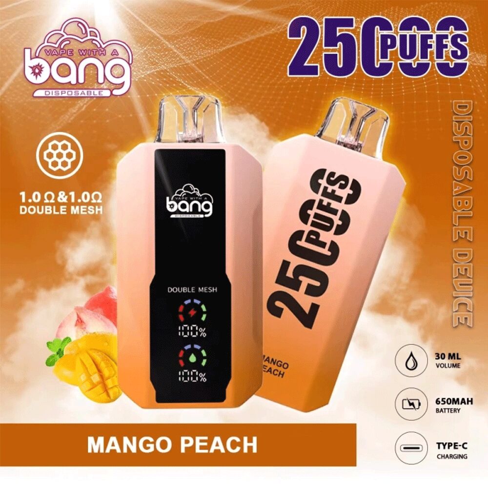 Bang 25000 25k Puffs Disposable Vape 0% 2% 3% 5% Nicotine 12Tastes LED Display Rechargeable Factory Direct